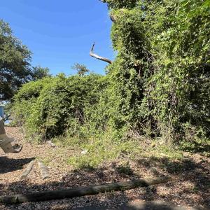 Photo #7 of 443 Kitty Hawk Bay Drive, Kill Devil Hills, NC 0.2 acres