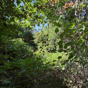 Photo #4 of 443 Kitty Hawk Bay Drive, Kill Devil Hills, NC 0.2 acres