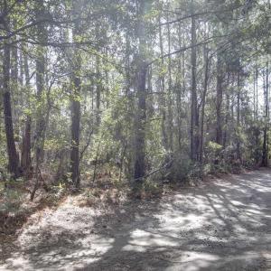 Photo #7 of NC 12 Highway, Frisco, NC 7.6 acres