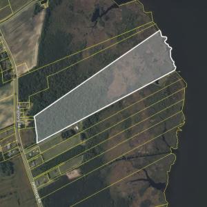 Photo #3 of Jarvisburg Road, Jarvisburg, NC 42.0 acres