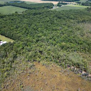 Photo #6 of Jarvisburg Road, Jarvisburg, NC 42.0 acres