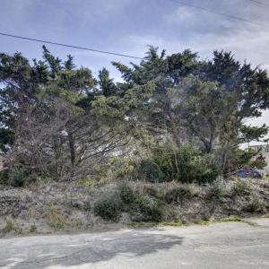 Photo #8 of 54119 Marlin Drive, Frisco, NC 0.2 acres