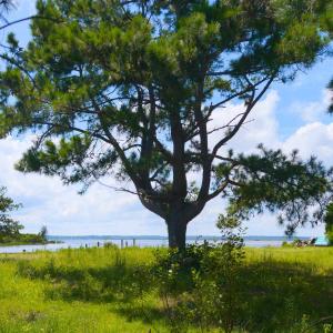 Photo #18 of 918 Plover Court, Corolla, NC