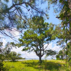 Photo #19 of 918 Plover Court, Corolla, NC