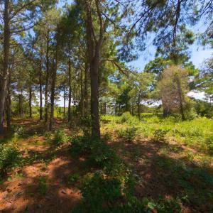 Photo #10 of 918 Plover Court, Corolla, NC
