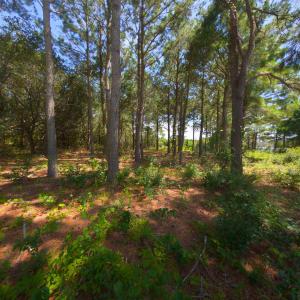 Photo #9 of 918 Plover Court, Corolla, NC