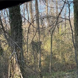 Photo #5 of 3605 Ten, Efland, NC 9.1 acres