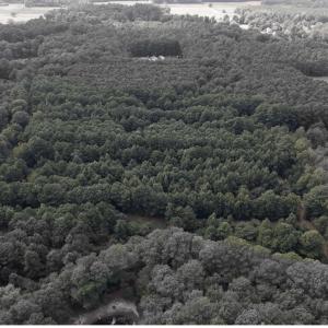 Photo #11 of Brumley Road, Knotts Island, NC 12.0 acres