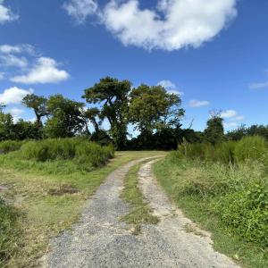 Photo #10 of Brumley Road, Knotts Island, NC 12.0 acres