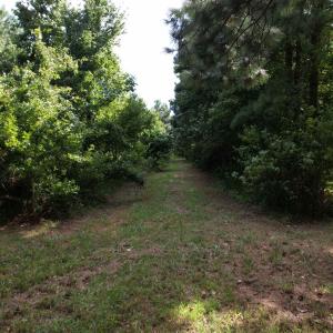 Photo #12 of Brumley Road, Knotts Island, NC 12.0 acres