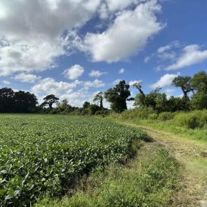 Photo #9 of Brumley Road, Knotts Island, NC 12.0 acres