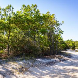Photo #4 of 2236 Tarpon Road, Corolla, NC