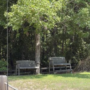 Photo #12 of 113 Old Holly Lane, Kill Devil Hills, NC 0.4 acres