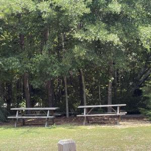 Photo #11 of 113 Old Holly Lane, Kill Devil Hills, NC 0.4 acres