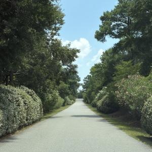 Photo #14 of 113 Old Holly Lane, Kill Devil Hills, NC 0.4 acres