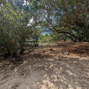 Photo #7 of 2234 Sailfish Road, Corolla, NC