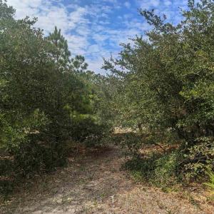 Photo #11 of 2234 Sailfish Road, Corolla, NC