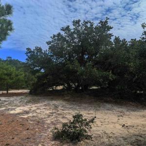 Photo #14 of 2234 Sailfish Road, Corolla, NC