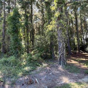 Photo #3 of Lots 1,2&3 Caratoke Highway, Grandy, NC