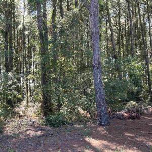 Photo #1 of Lots 1,2&3 Caratoke Highway, Grandy, NC