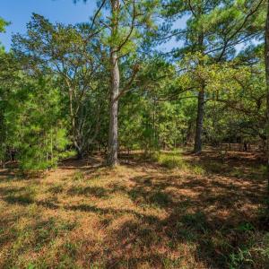 Photo #2 of 2391 Ocean Pearl Road, Corolla, NC