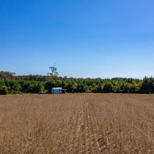 Photo #6 of Caratoke Highway, Poplar Branch, NC