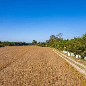 Photo #5 of Caratoke Highway, Poplar Branch, NC