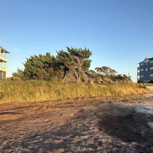 View from back of lot