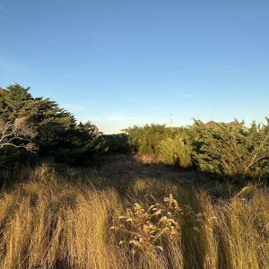 Back of lot view