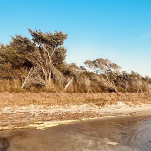 Photo #5 of 23036 Cross of Honor Way, Rodanthe, NC