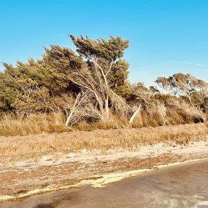 Photo #3 of 23036 Cross of Honor Way, Rodanthe, NC