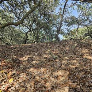 Photo #10 of 510 Albatross Lane, Corolla, NC 0.3 acres