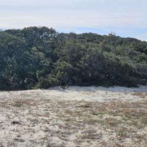 Photo #14 of 510 Albatross Lane, Corolla, NC 0.3 acres