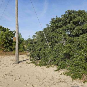 Photo #8 of 510 Albatross Lane, Corolla, NC 0.3 acres