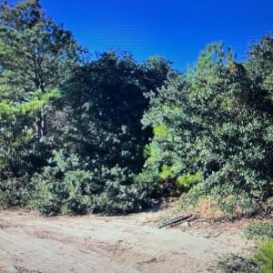 Area Photo