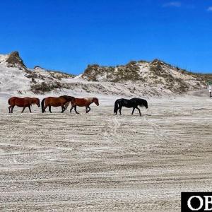 Photo #7 of 2011 Ocean Pearl Road, Corolla, NC 0.3 acres