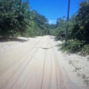 Area Photo