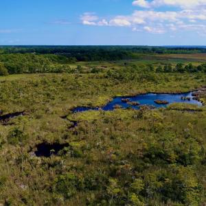 Photo #27 of West Side Lane, Powells Point, NC 225.7 acres