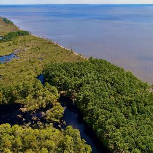 Photo #13 of West Side Lane, Powells Point, NC 225.7 acres