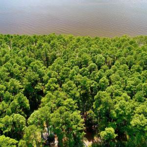 Photo #32 of West Side Lane, Powells Point, NC 225.7 acres