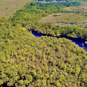 Photo #11 of West Side Lane, Powells Point, NC 225.7 acres