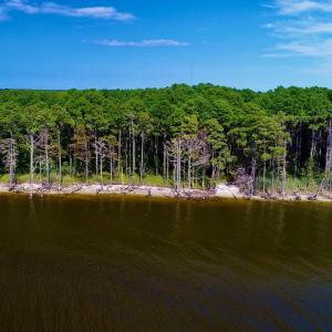 Photo #16 of West Side Lane, Powells Point, NC 225.7 acres