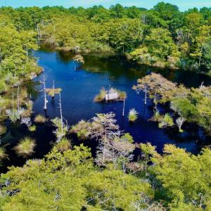 Photo #23 of West Side Lane, Powells Point, NC 225.7 acres