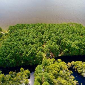 Photo #30 of West Side Lane, Powells Point, NC 225.7 acres