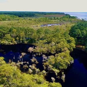 Photo #26 of West Side Lane, Powells Point, NC 225.7 acres