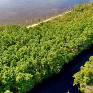 Photo #31 of West Side Lane, Powells Point, NC 225.7 acres