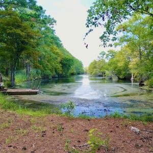 Photo #19 of West Side Lane, Powells Point, NC 225.7 acres