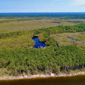 Photo #3 of West Side Lane, Powells Point, NC 225.7 acres