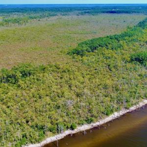 Photo #9 of West Side Lane, Powells Point, NC 225.7 acres