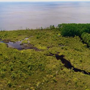 Photo #28 of West Side Lane, Powells Point, NC 225.7 acres